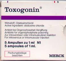 TOXOGONIN AMPULAS 1 ml (CAJA CON 5 AMP.)