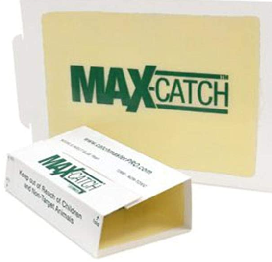 Trampa de pegamento para raton 72-MAX Catchmaster 13x20